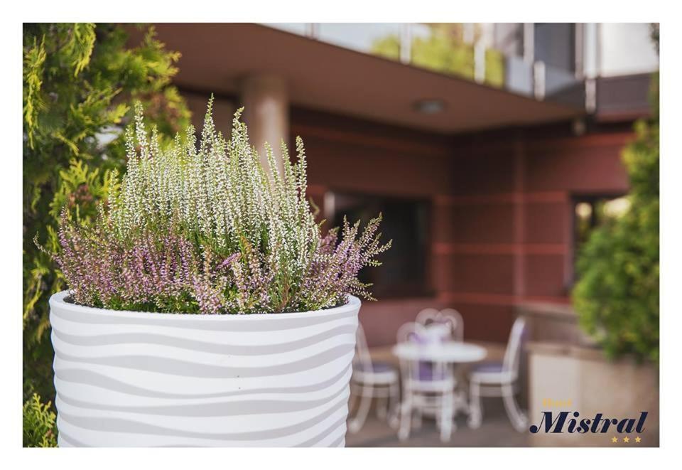 Hotel Mistral ماركي المظهر الخارجي الصورة